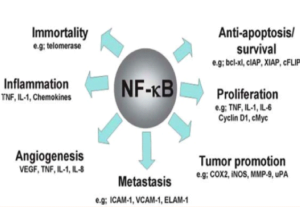 inflammation